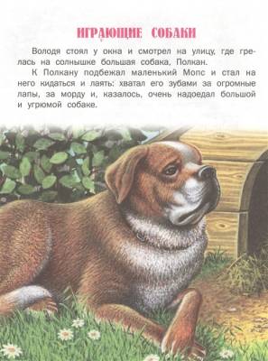 Читаем сами. Страшный зверь